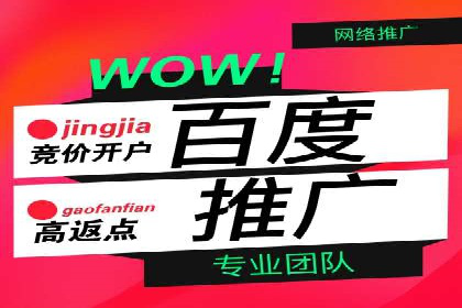 SEM网络推广实战案例：如何实现快速转化